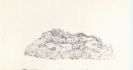Disegni