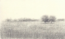 Disegni-12