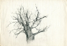 Disegni-16