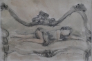 Disegni