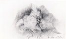 Disegni-2