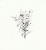 Disegni-6