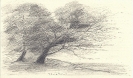 Disegni-8