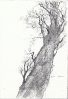 Disegni-9