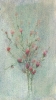 Fiori-26