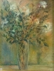 Fiori-8