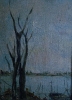 Paesaggi