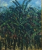 Paesaggi-15