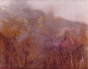 Paesaggi-20