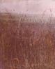 Paesaggi-21