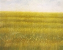 Paesaggi-25