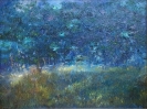 Paesaggi-36
