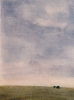 Paesaggi-38