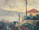 Paesaggi