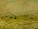 Paesaggi-42