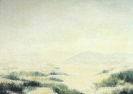 Paesaggi-44
