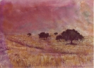 Paesaggi-58