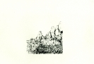 Serigrafie-4